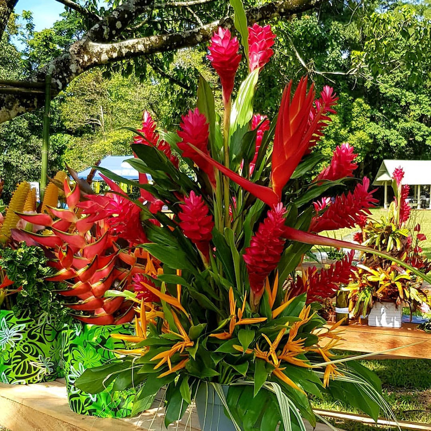 Flowers A Blooming Business in PNG - Paga Hill Estate - Port Moresby ...