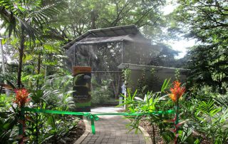 paga-hill-estate-gudmundur-gummi-fridriksson-port-moresby-nature-park