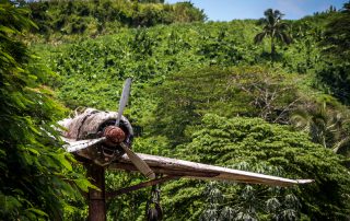 paga-hill-estateestate-PNG-WW2-Relics-2