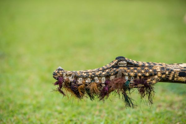 paga-hill-estate-PNG-sepik_river_1