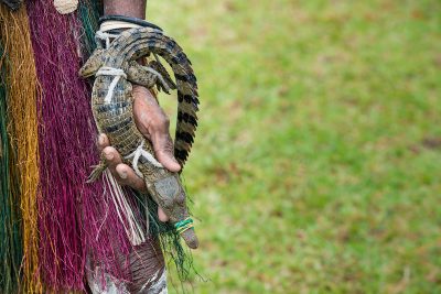 paga-hill-estate-PNG-sepik_river_3