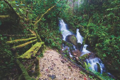 paga-hill-estate-PNG-waterfalls-png-2.jpg