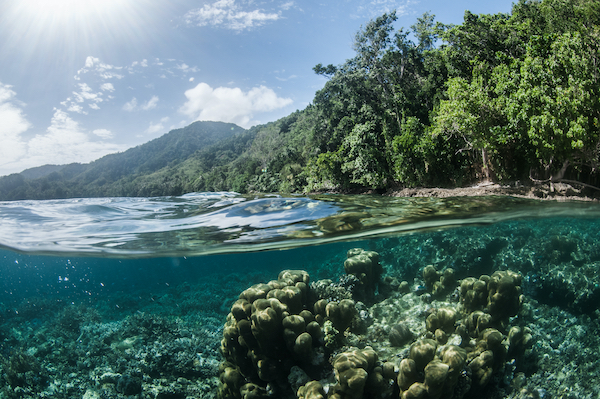 paga-hill-estate-Milne-Bay-Manta-Ray-png-3.jpg