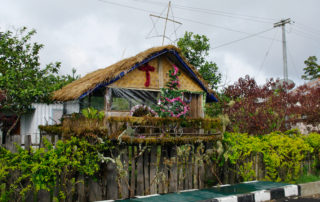 paga-hill-estate-xmas-in-png1