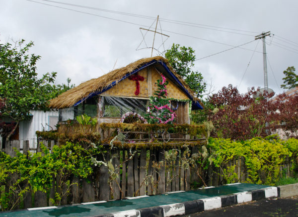 paga-hill-estate-xmas-in-png1