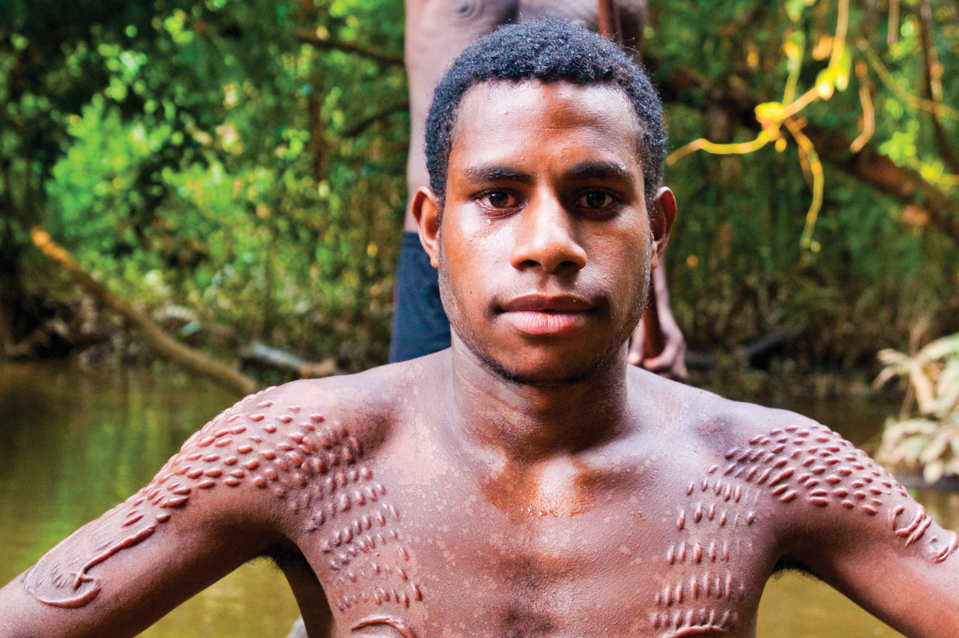 Scars on the back of a Chambri man to look like crocodile skin, Kanganaman  village, Middle Sepik, Papua New Guinea Stock Photo - Alamy